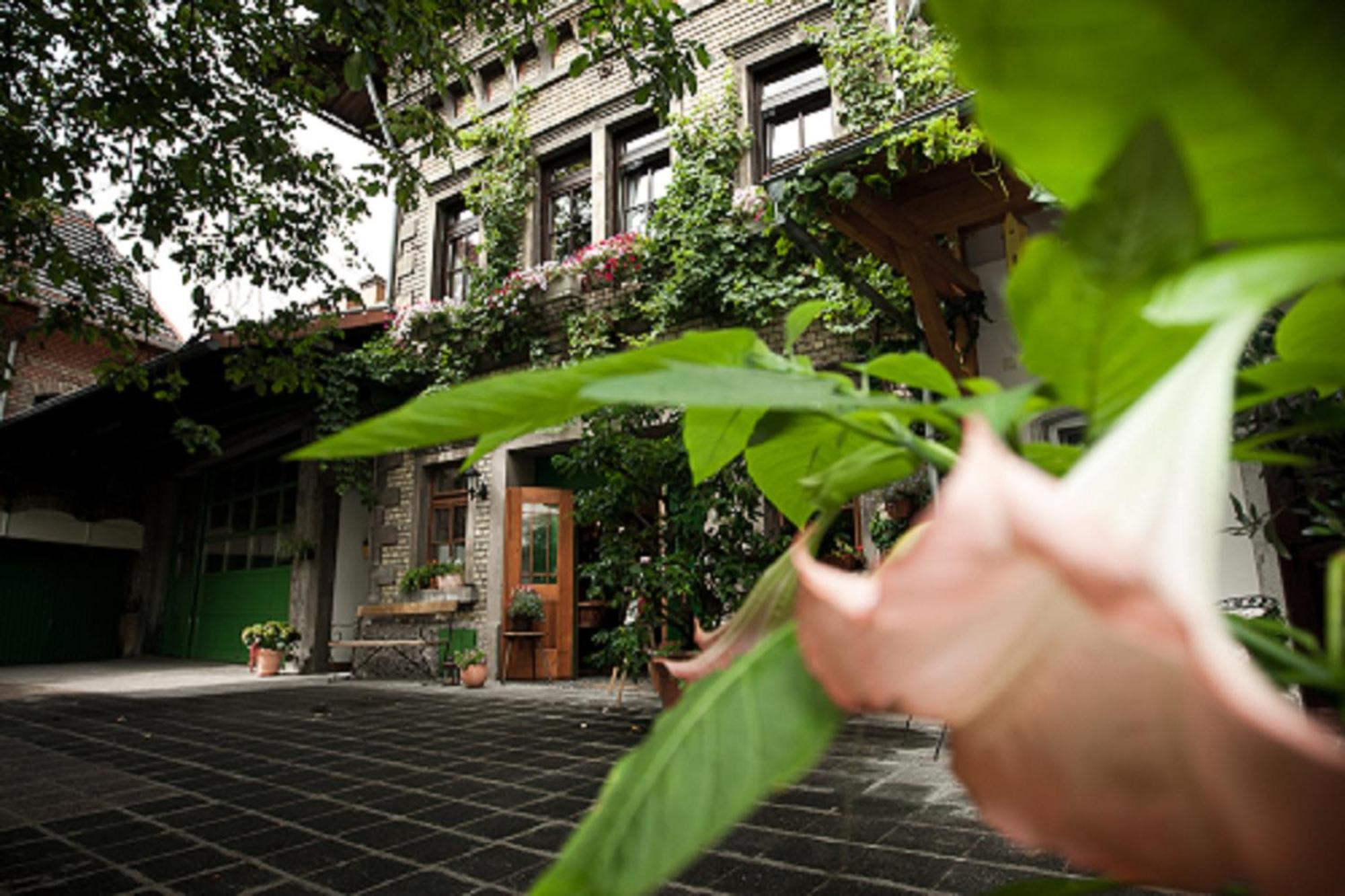 Gaestehaus Guntersblum Экстерьер фото