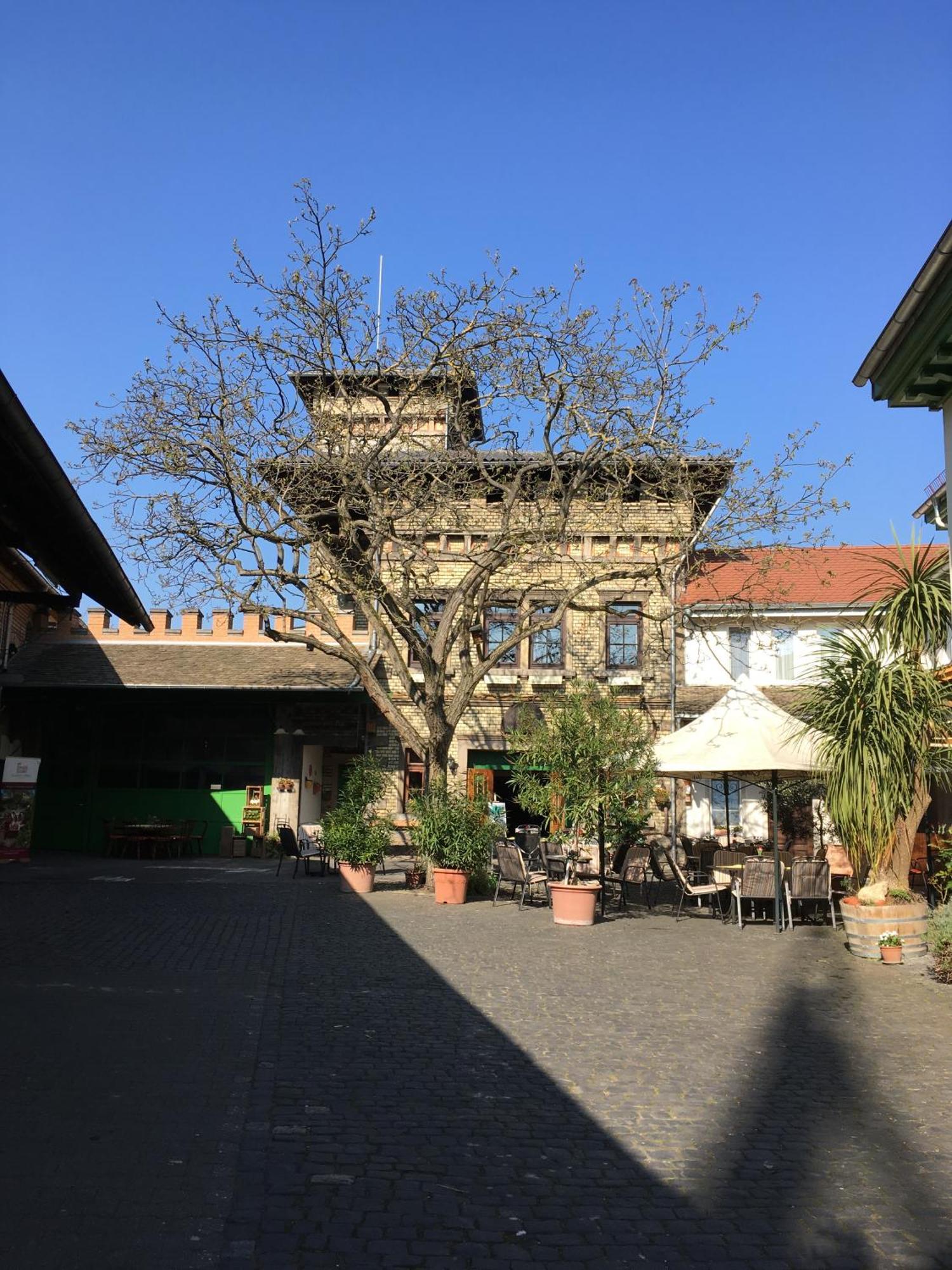 Gaestehaus Guntersblum Экстерьер фото
